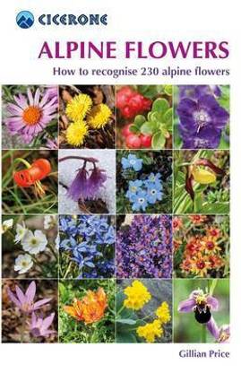 Alpine Flowers