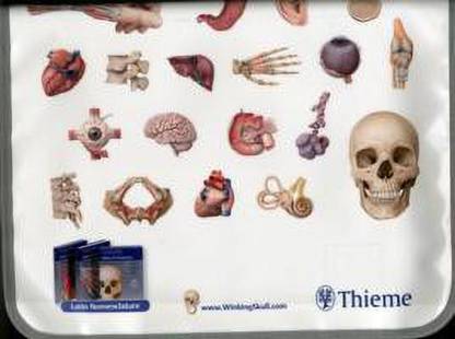 THIEME Atlas of Anatomy 3 Volume Set, Latin Nomenclature
