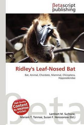 Ridley's Leaf-Nosed Bat