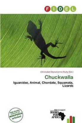 Chuckwalla
