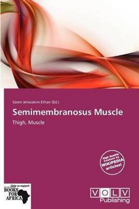 Semimembranosus Muscle