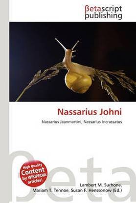 Nassarius Johni