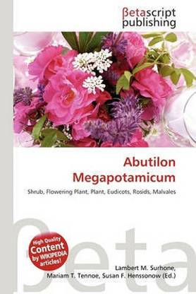 Abutilon Megapotamicum