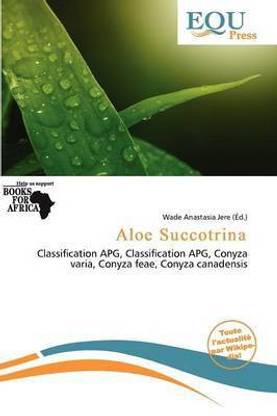 Aloe Succotrina