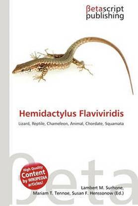 Hemidactylus Flaviviridis