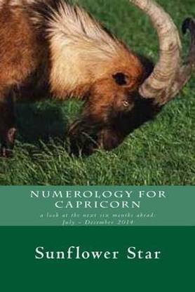 Numerology for Capricorn