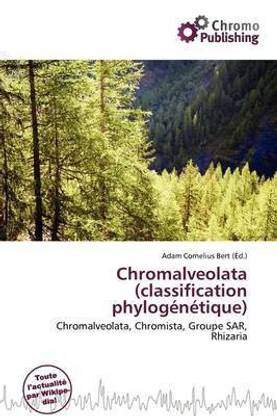 Chromalveolata (Classification Phylog N Tique)