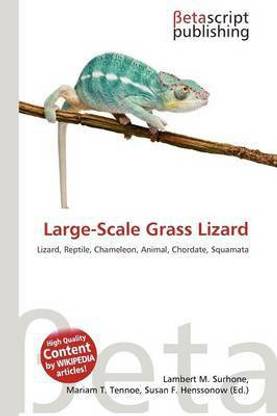 Large-Scale Grass Lizard