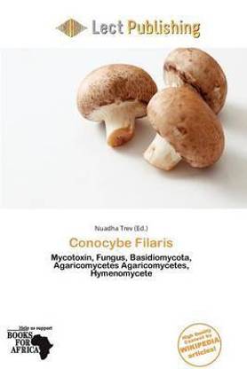 Conocybe Filaris