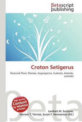 Croton Setigerus