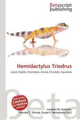 Hemidactylus Triedrus