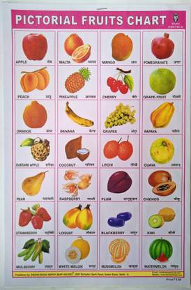 Mukesh Art & Stationery Children’s Early Learning Picture Charts (Pack of 50 Multiple Different-Different Topics)