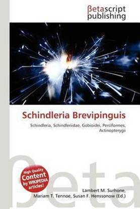 Schindleria Brevipinguis