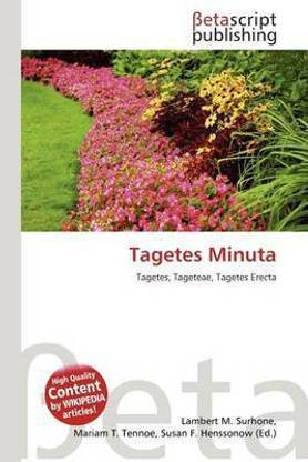 Tagetes Minuta