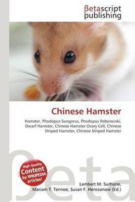 Chinese Hamster