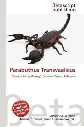 Parabuthus Transvaalicus