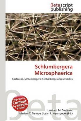 Schlumbergera Microsphaerica