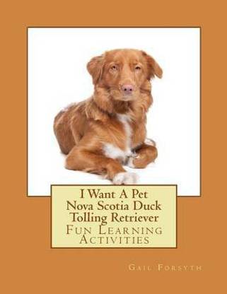 I Want a Pet Nova Scotia Duck Tolling Retriever