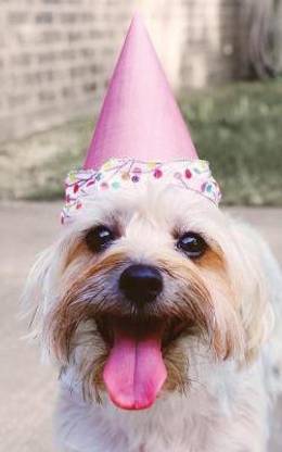 S'cute Pupper in a Party Hat Lined Notebook