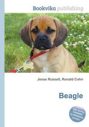 Beagle