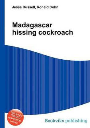 Madagascar Hissing Cockroach