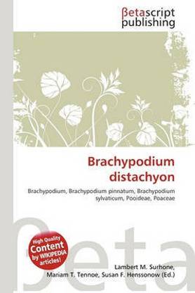 Brachypodium Distachyon