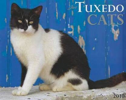 Just Tuxedo Cats