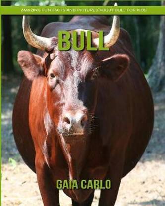 Bull
