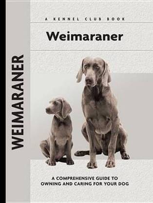 Weimaraner