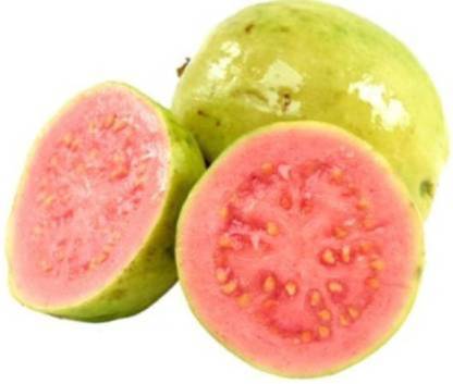 FRESHO RED GUAVA FRUIT(100 Seeds) Seed