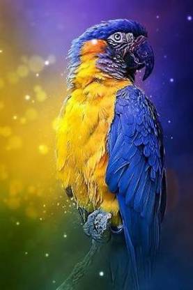 Majestic Macaw Parrot