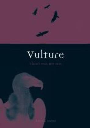 Vulture
