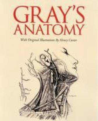 Grays Anatomy