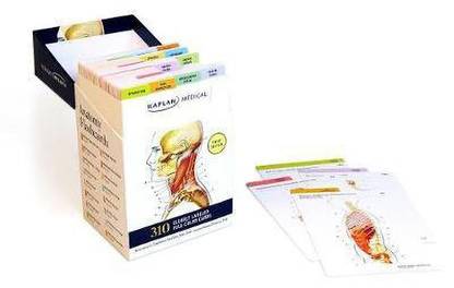 Anatomy Flashcards