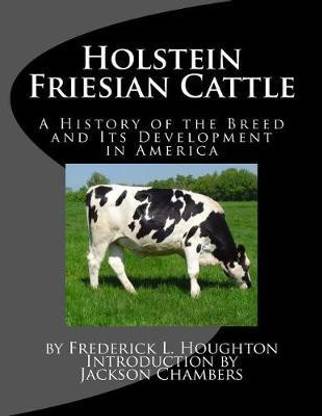 Holstein Friesian Cattle
