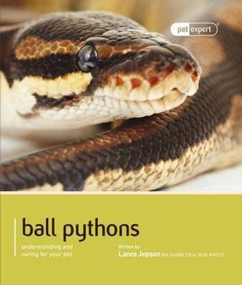 Ball Python (Royal Python)