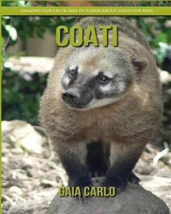 Coati