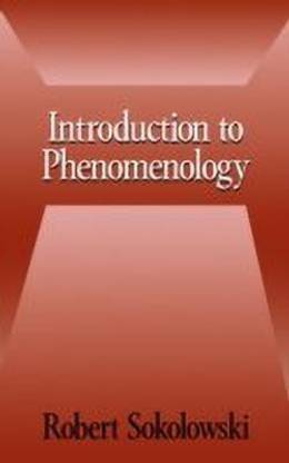 Introduction to Phenomenology