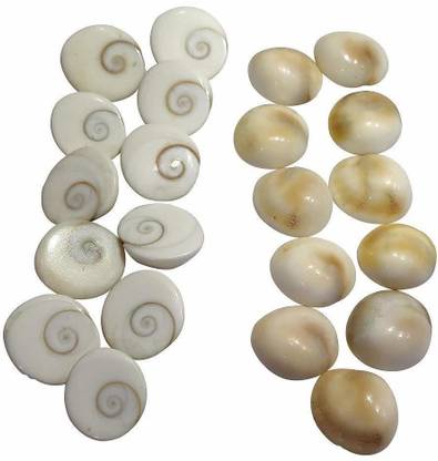 NEERAJ Gomti Chakra stone For Pooja - Gaumti - gomti - gomati Chakra Shell -21 pc