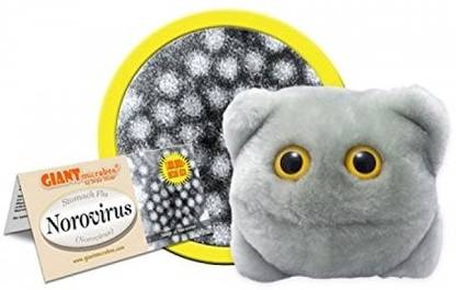 GIANT Microbes Norovirus Norovirus Plush Doll  - 10 cm