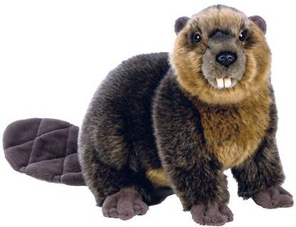 Webkinz Signature Beaver  - 13 cm