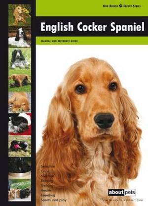 English Cocker Spaniel