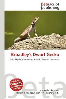 Broadley's Dwarf Gecko