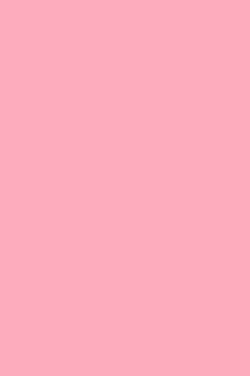 Pale Pink 101 - Combo Lined & Blank Notebook