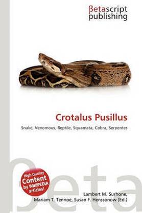 Crotalus Pusillus