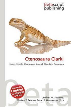 Ctenosaura Clarki