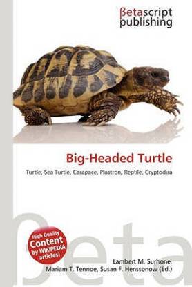 Big-Headed Turtle