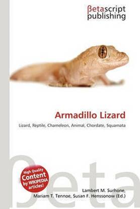 Armadillo Lizard