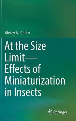 At the Size Limit - Effects of Miniaturization in Insects