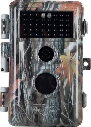 BlazeVideo Bird Camera